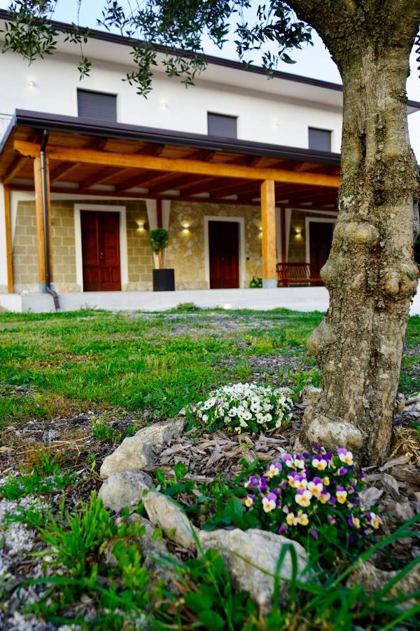 Bed and Breakfast Atomos Alvignano Zewnętrze zdjęcie